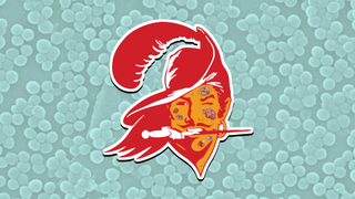 What Is MRSA? The Disgusting Infection Riddling The Buccaneers